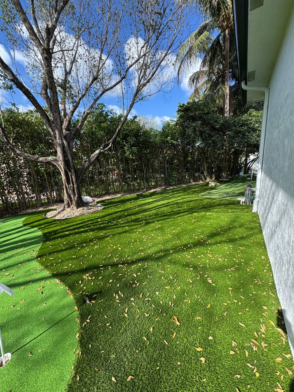 WhatsApp Image 2025-09-22 at 10.44.07 PM